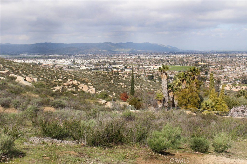 Picture 22