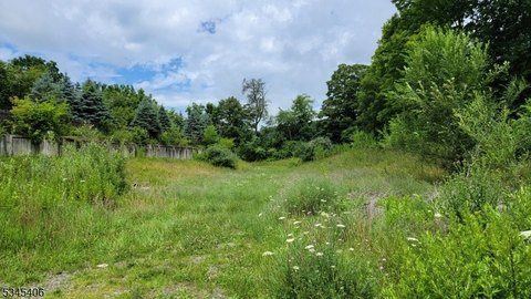 Development Land in Sparta Township