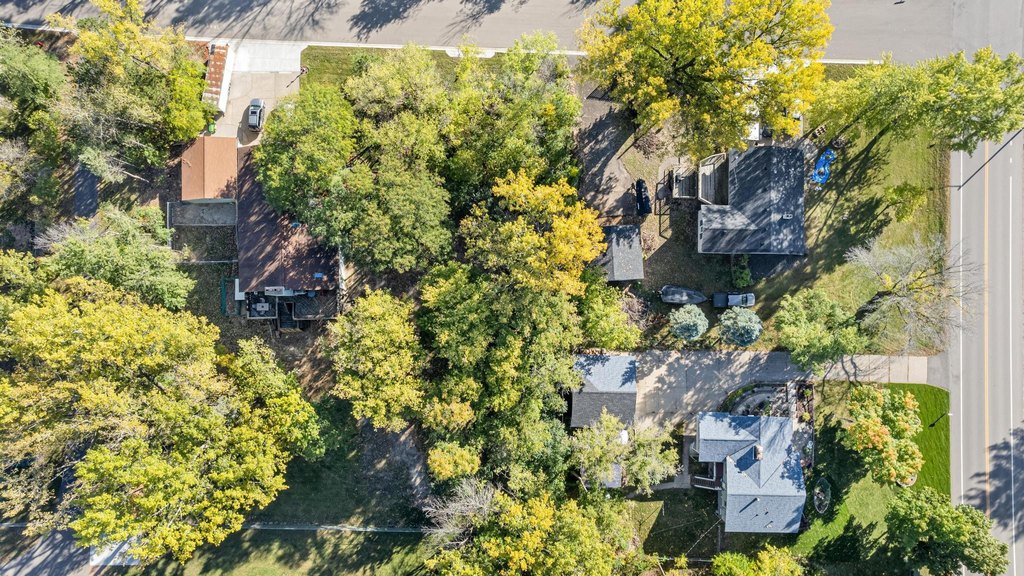 Picture 10