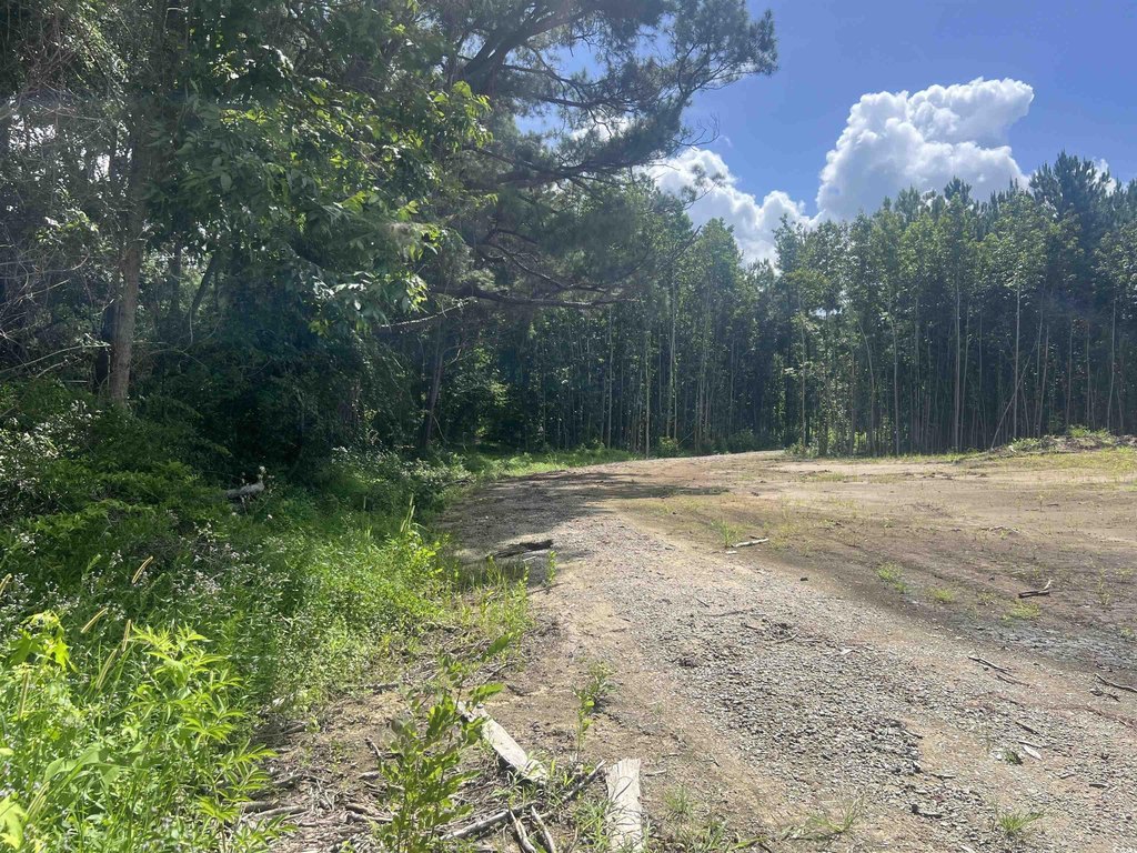 Picture 7