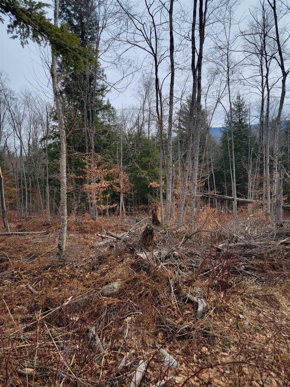 Picture 7