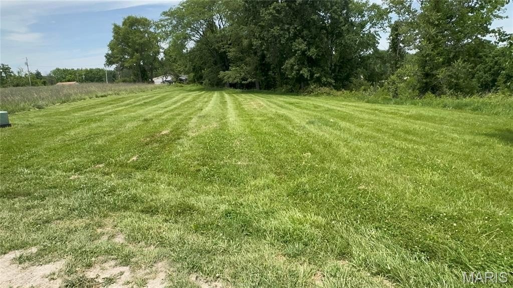 Picture 14