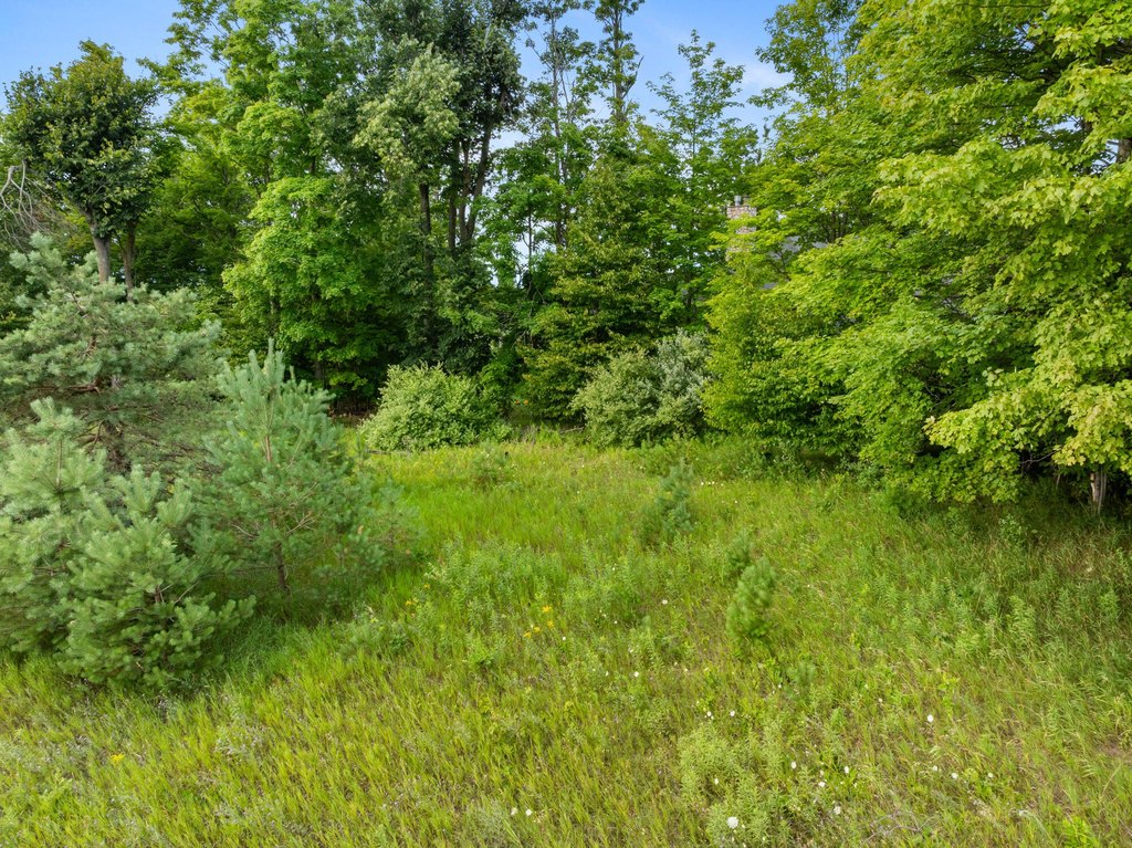 Picture 27