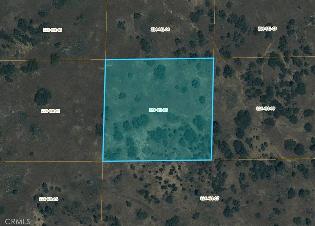 Vacant Land Near Highway 58