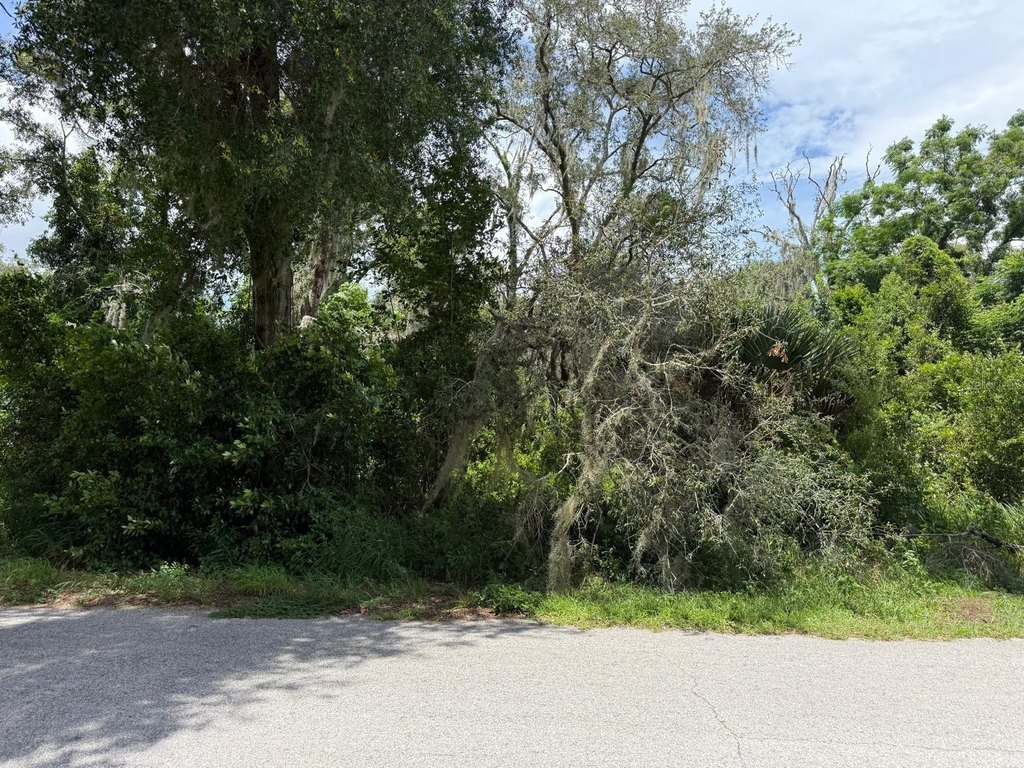 Picture 21