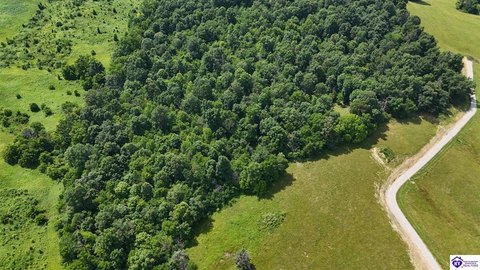 Woodland Development Tract