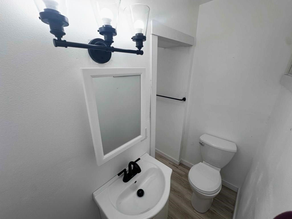 Picture 22