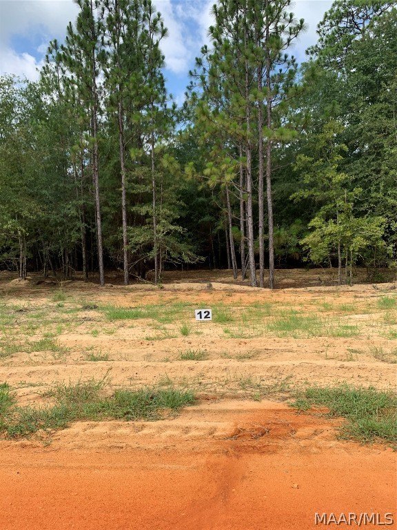 Land in Miller's Ferry
