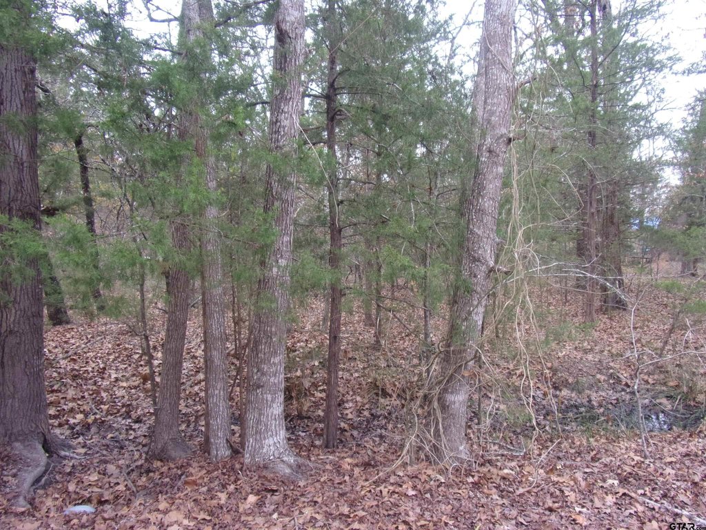 Picture 3