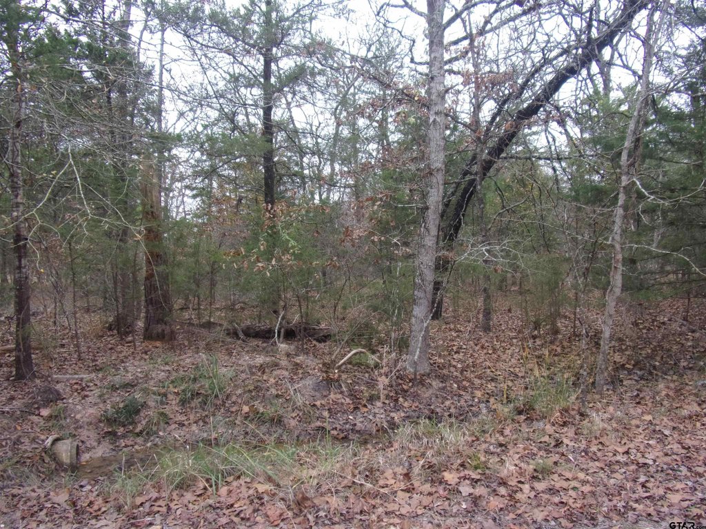 Picture 2