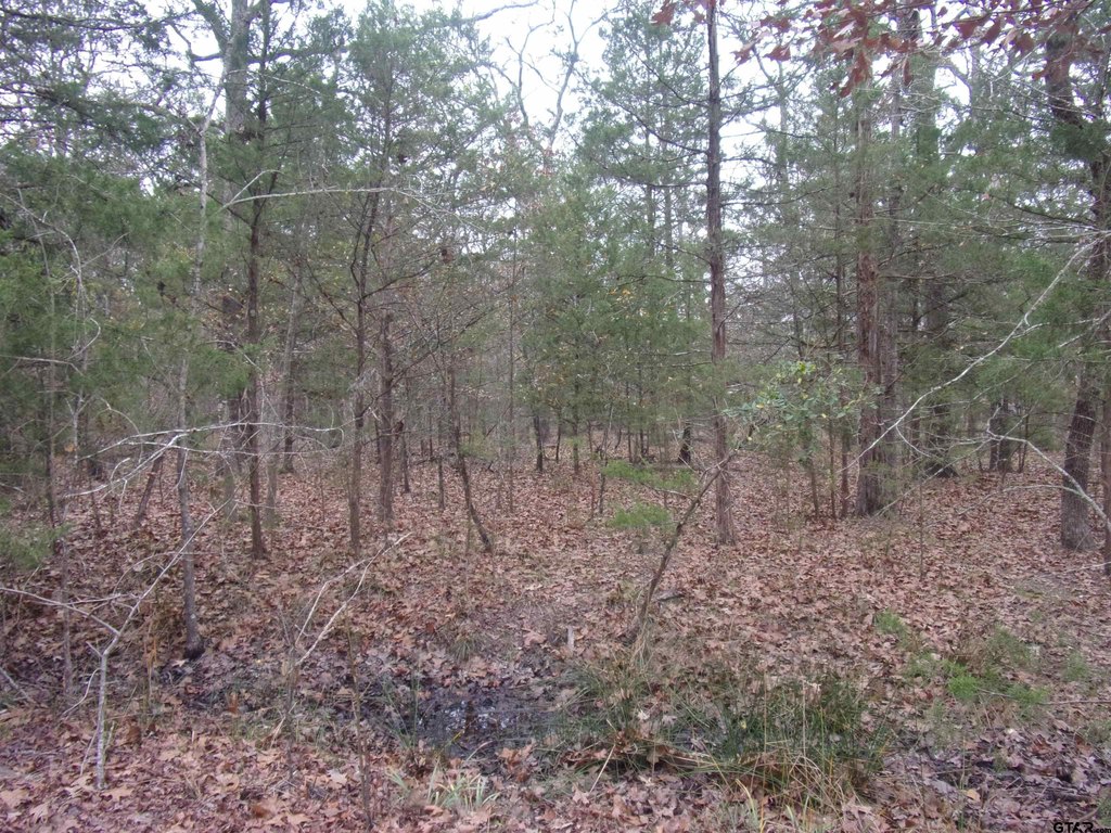 Picture 4