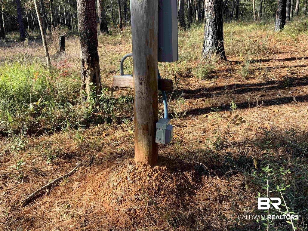 Picture 8