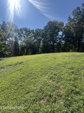 Wooded Land Near Norris Lake