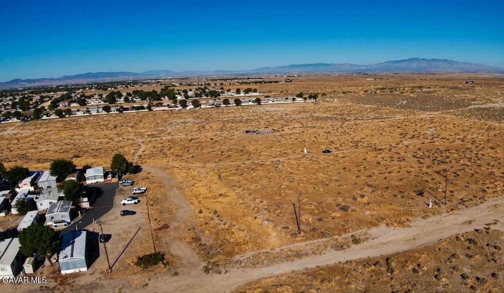 Picture 25