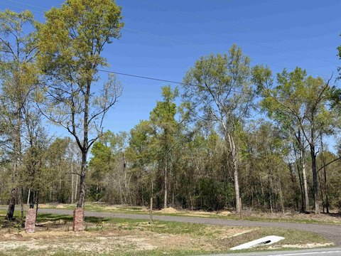 Versatile Acreage in Lee, Florida