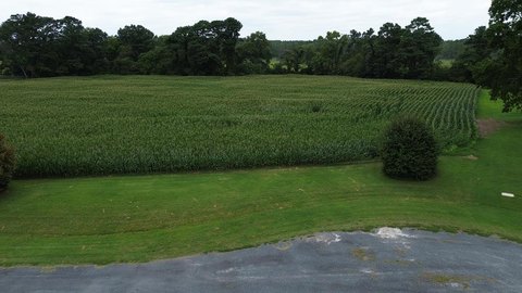 Creek Front Lot For Sale