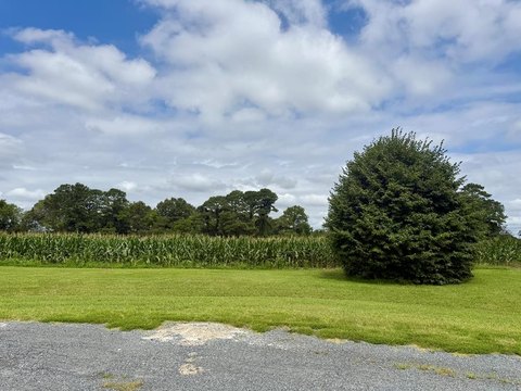 Creek Front Lot For Sale