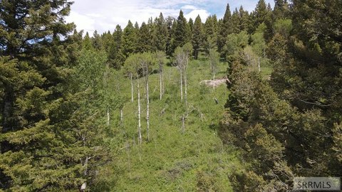 Island Park Land with Views