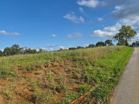 Land, Pleasureville, KY