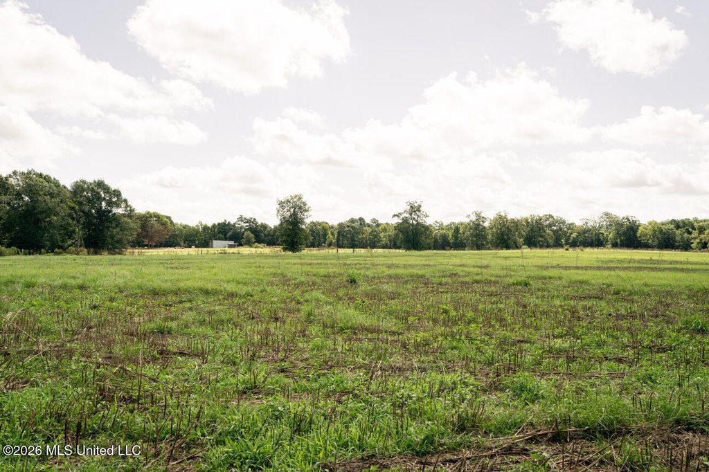 Picture 41