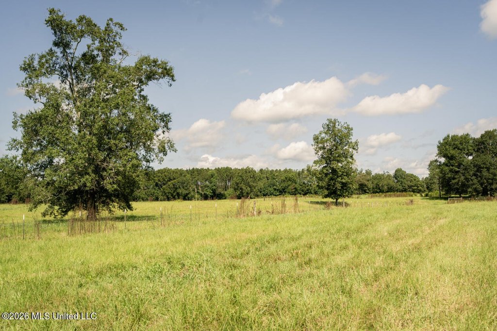 Picture 33