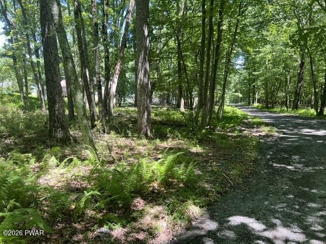 Picture 16