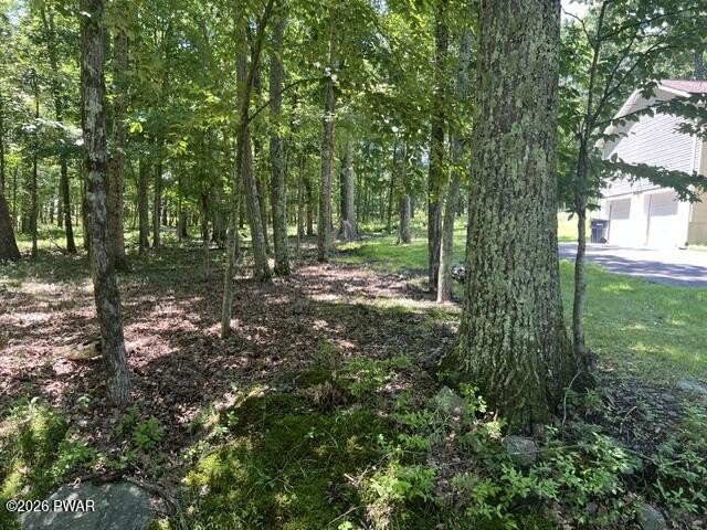 Picture 19
