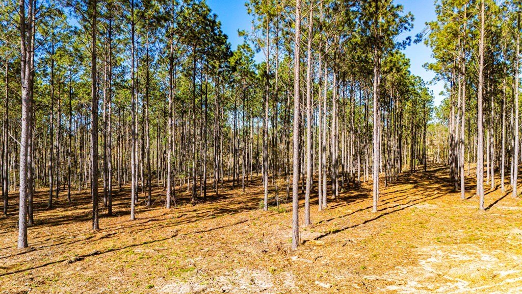 Picture 10
