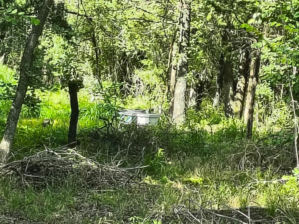 Picture 11