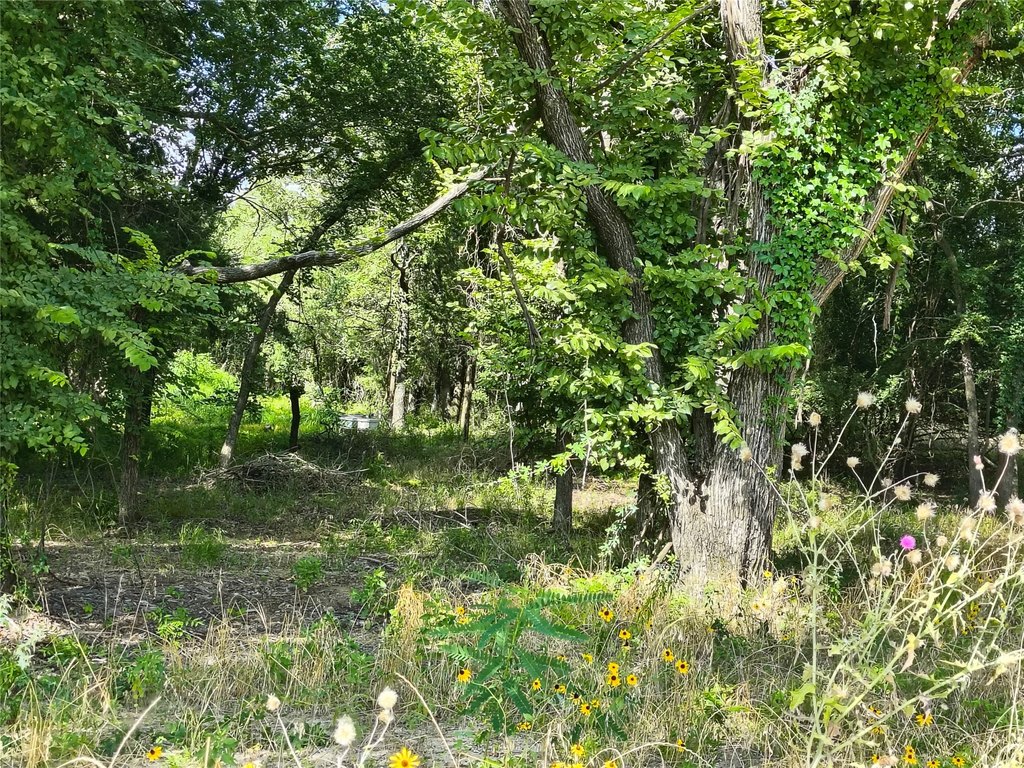 Picture 12