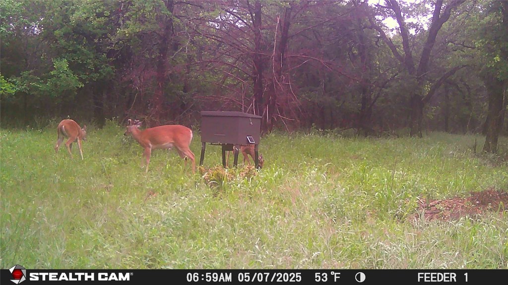 Picture 17