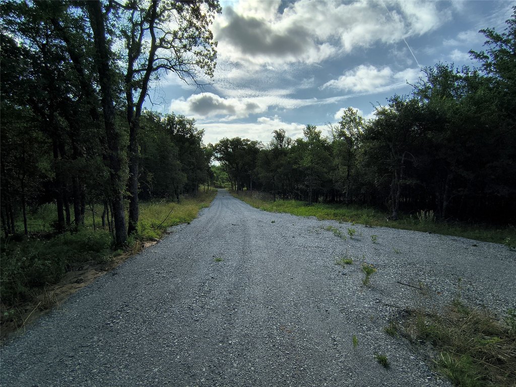 Picture 15
