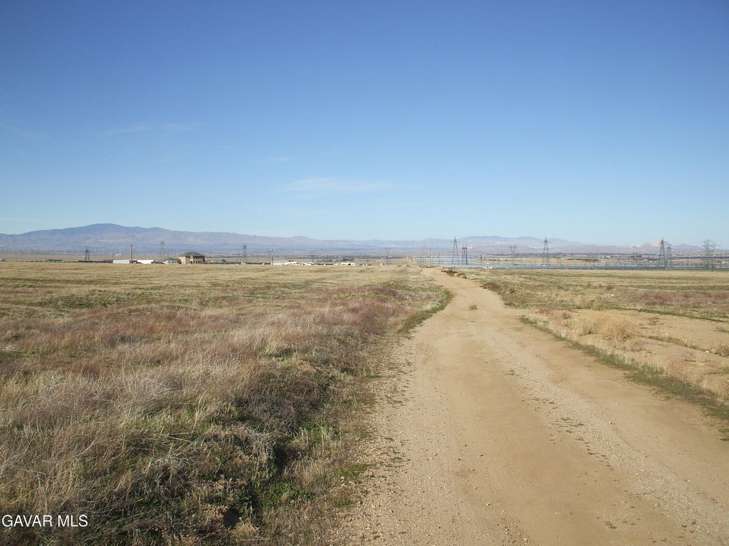Picture 8