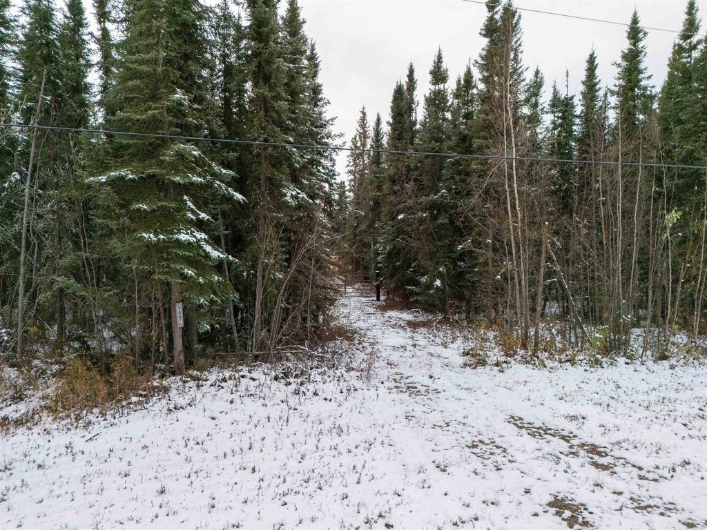 Picture 18