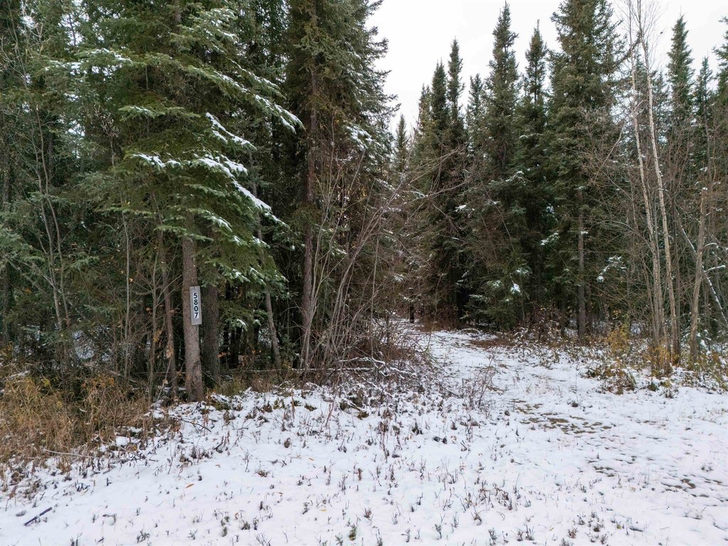 Picture 19