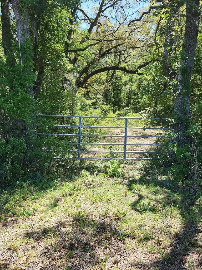 5-Acre Land Parcel in Old Town