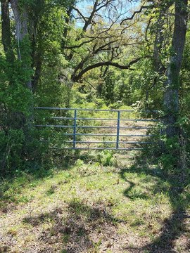 5-Acre Land Parcel in Old Town