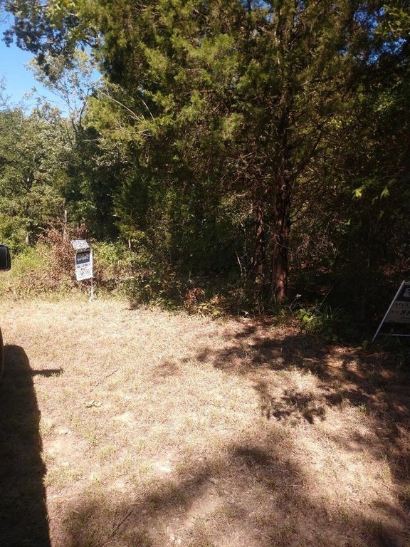 Picture 6