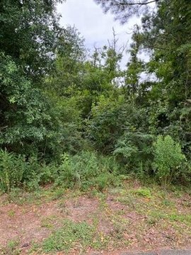 Vacant Land, Robert, LA