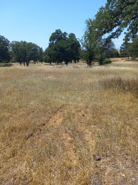 LAND - Redding, CA