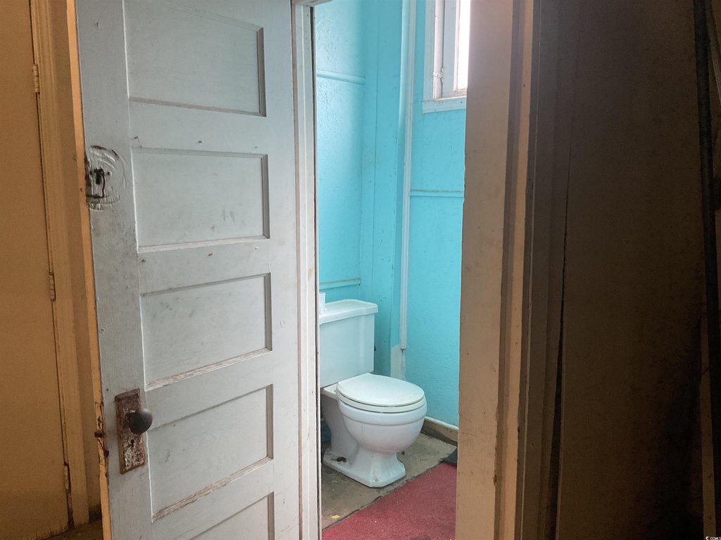 Picture 19