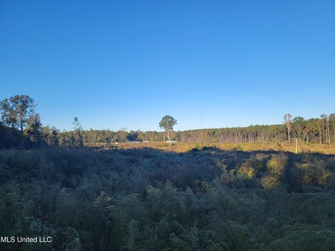 Land in Forest, Mississippi