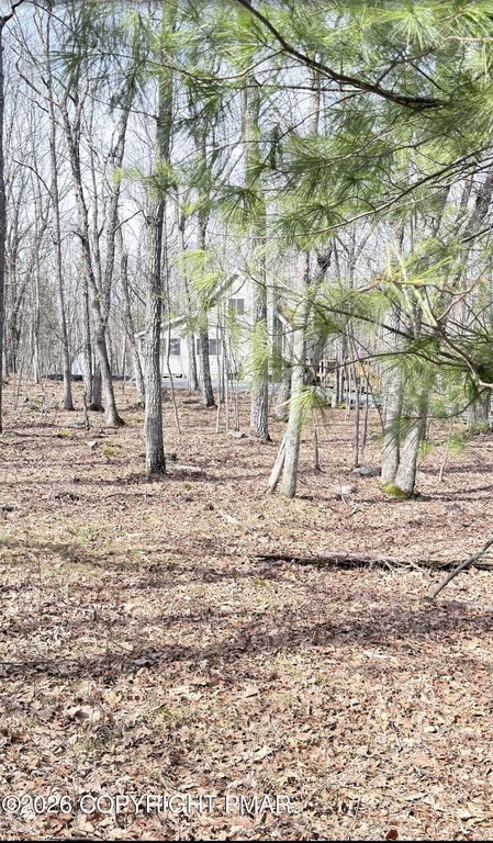 Picture 8