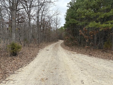 Land Near Mark Twain Forest