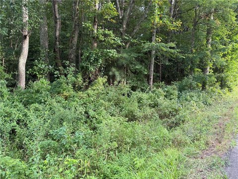 Wooded Acre Lot in Gloucester