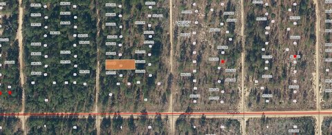 Residential Land in Lake Lucy