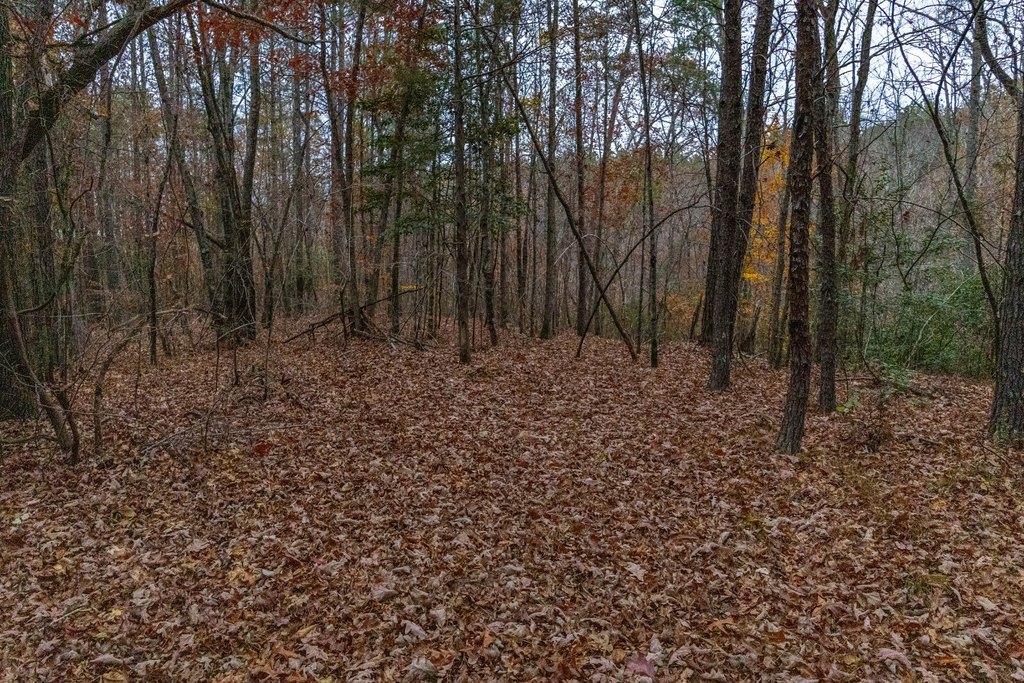 Picture 13