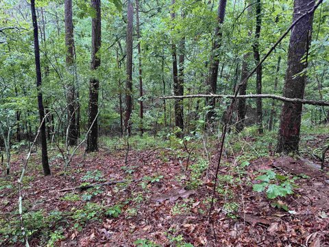 Vacant Land, Hot Springs Village, AR