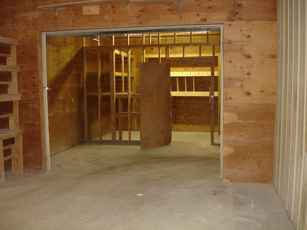Picture 8