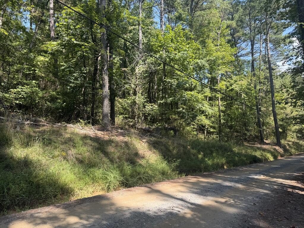 Picture 22